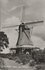 KAMPEN - Molen De Olde Zwarver_8