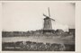 COLIJNSPLAAT - Molen_8