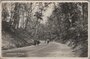 RHENEN - Grebbeweg_8