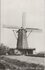 ST. MAARTENSDIJK - Molen de Hoop_8